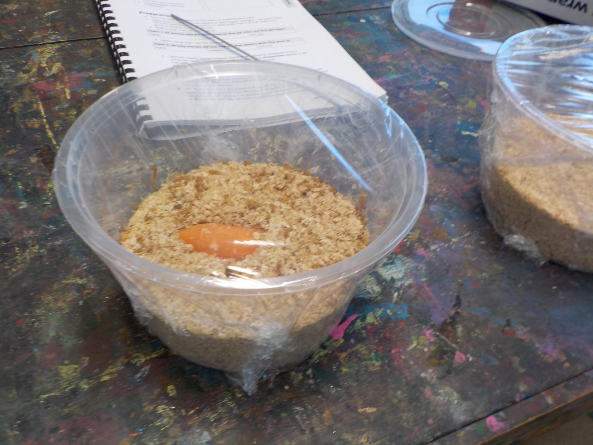 Bray Park State School